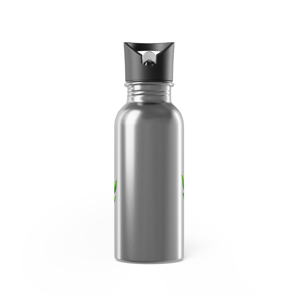 Save Nature 20oz Stainless Steel Water Bottle with Straw — Eco-Friendly Reusable Bottle
